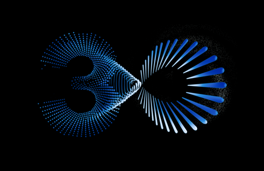 30 Years of Style: The Story Behind PEACEBIRD's Infinite Wing