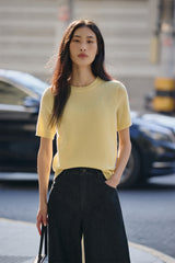 Women's Pure Wool Crewneck Short-Sleeve Knit Top
