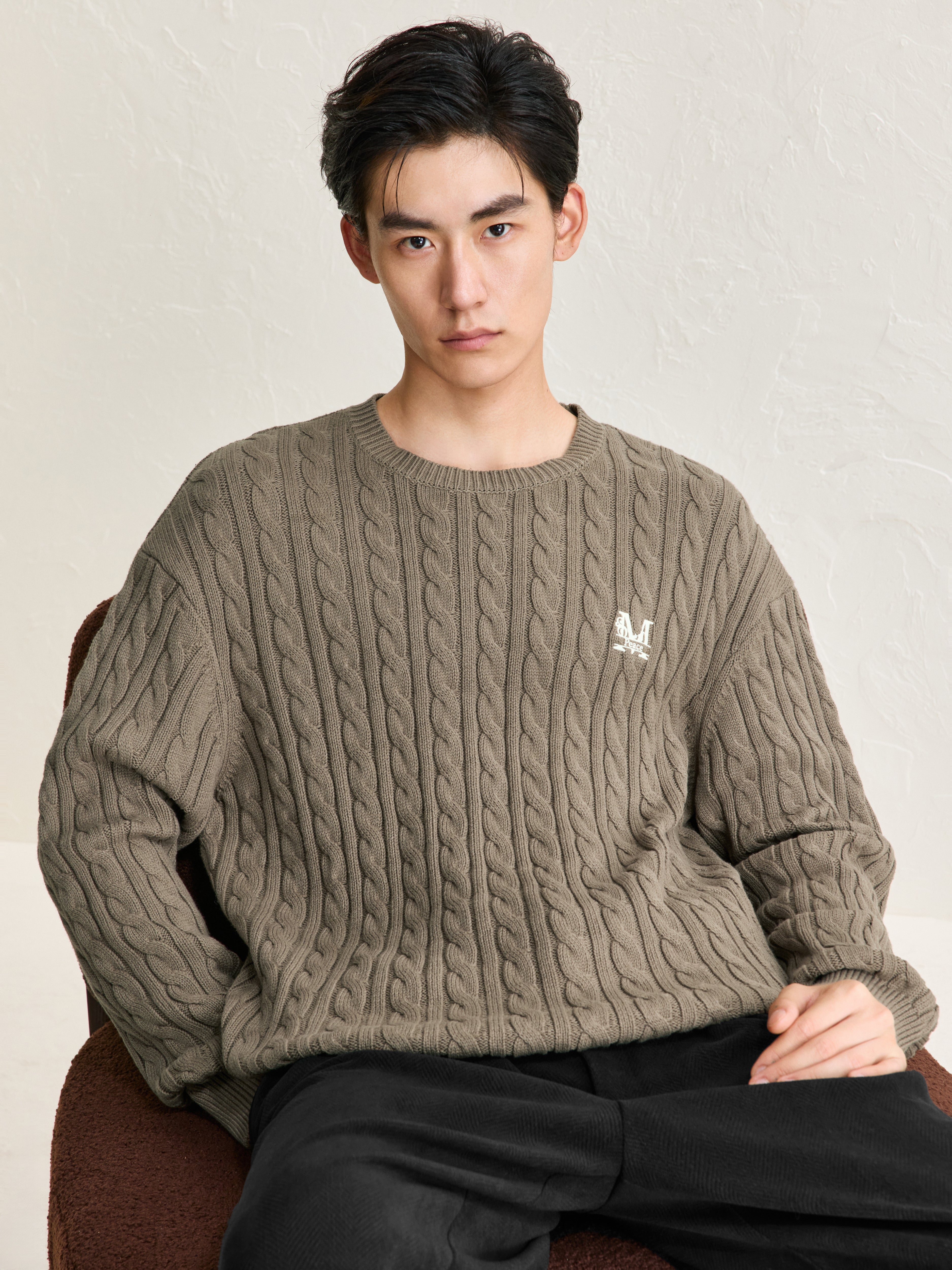 Men's Camel Embroideried Cable Pullover