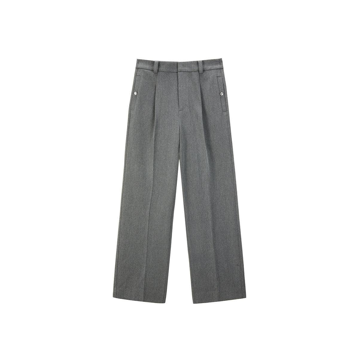 Women's Gray Pleated Tapered Pants