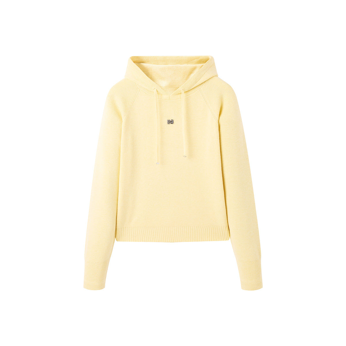 Women's Basics Hooded Knit Pullover