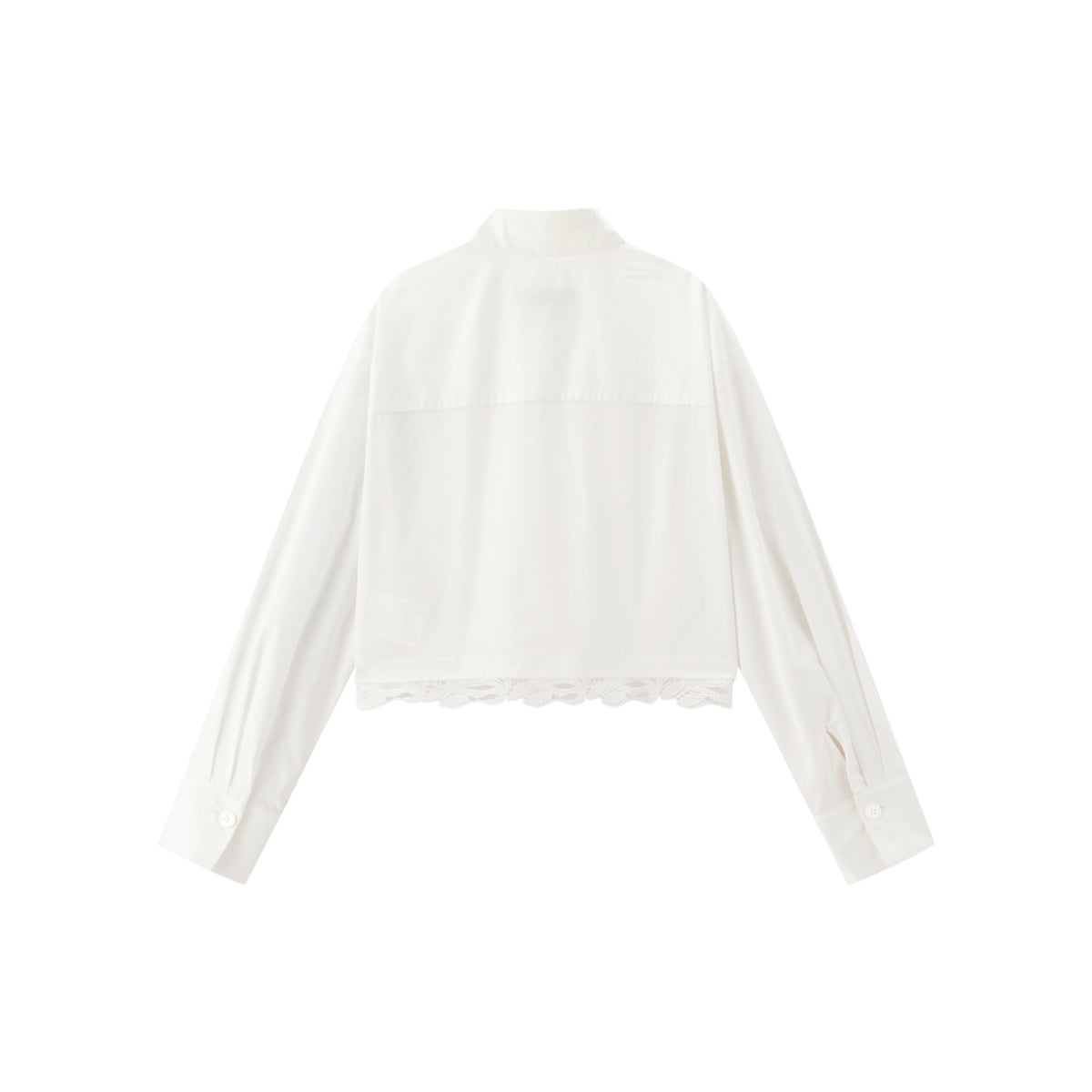 Women's Cropped Shirt with Lace Panels