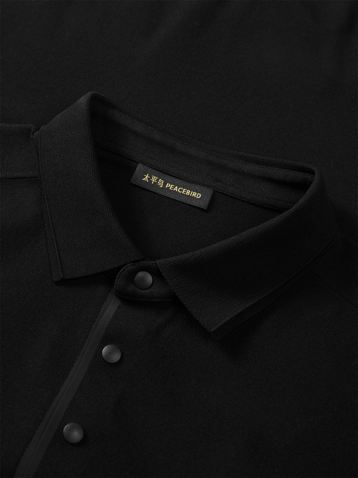 Men's Solid Knit Pullover with Logo Patch and Polo Collar
