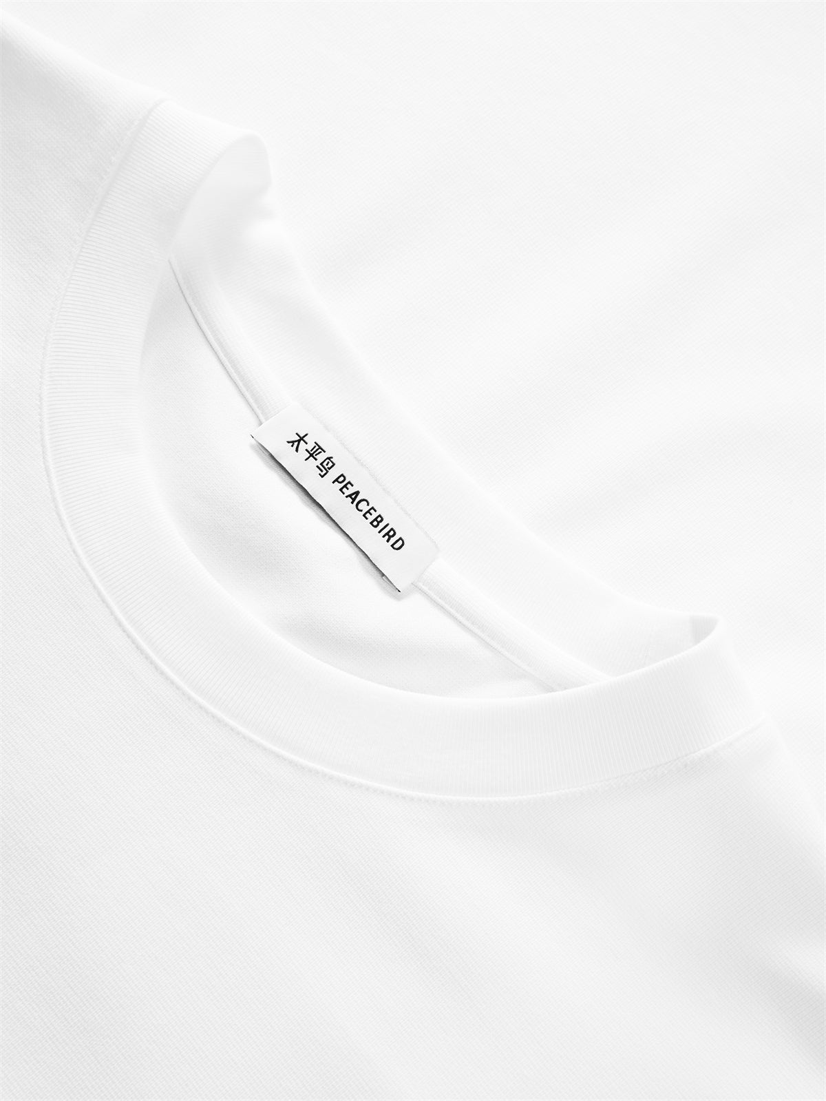 Men's Short-Sleeve T-Shirt with Back Embroidery