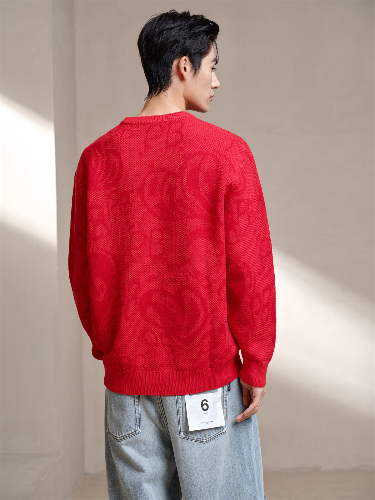 Men's Pattern Jacquard Pullover