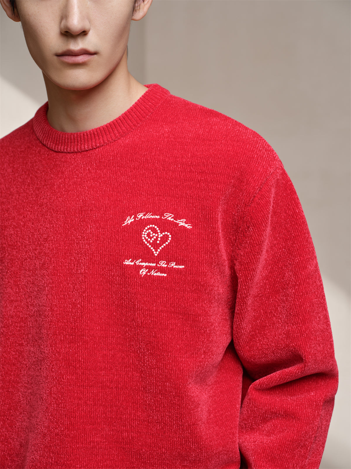 Men's Embroidered Crew Neck Pullover