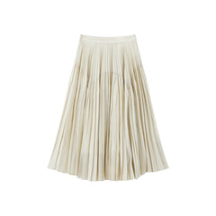 Women's Elegant Pleated A-Line Skirt