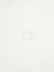 Women's Basic White Brushed T-Shirt