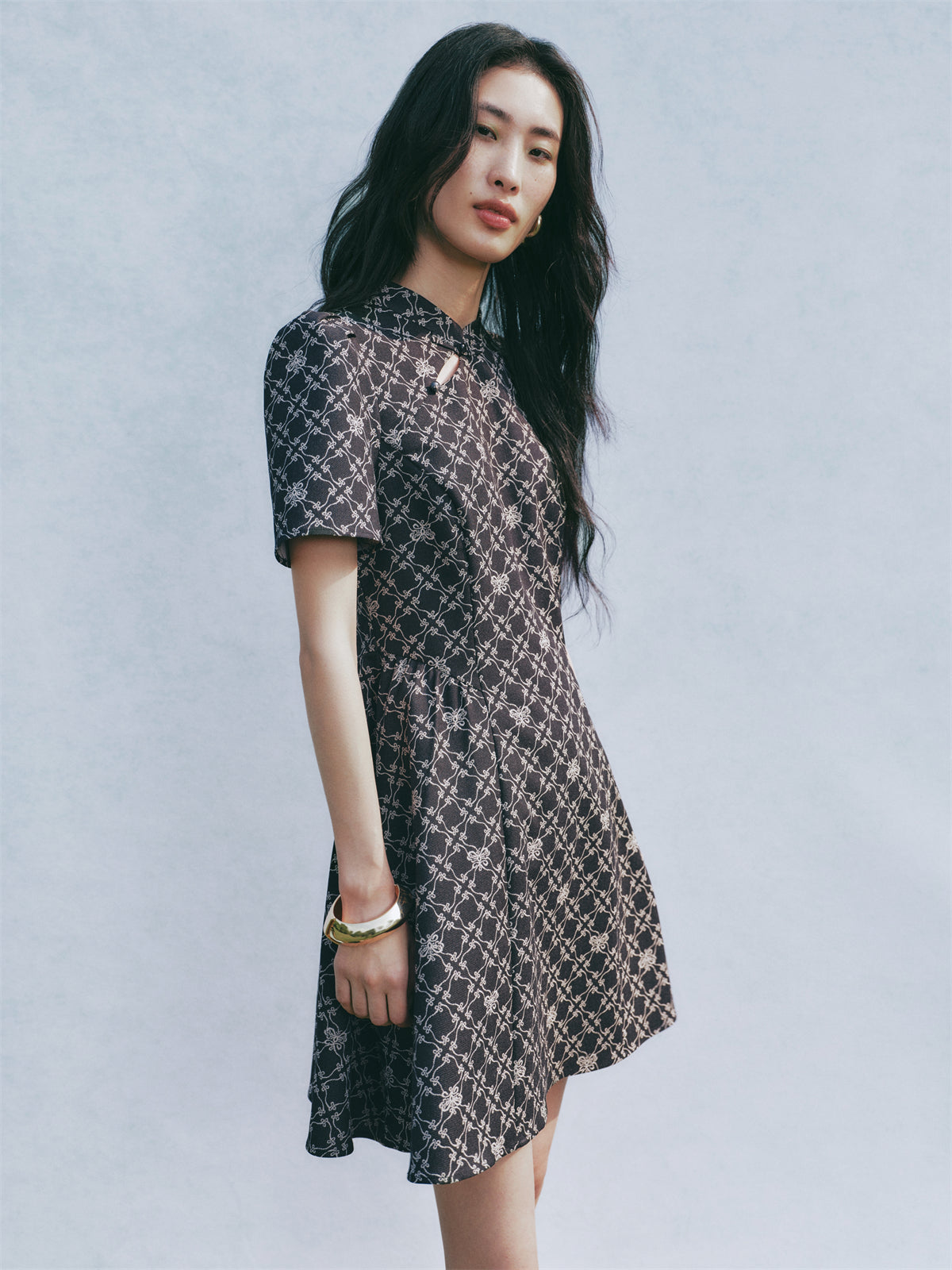 Women's Chinese Style Fit & Flare Mini Dress