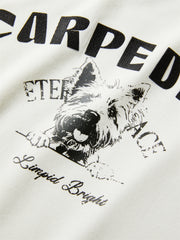 Women's Colorblock Printed Cropped T-Shirt