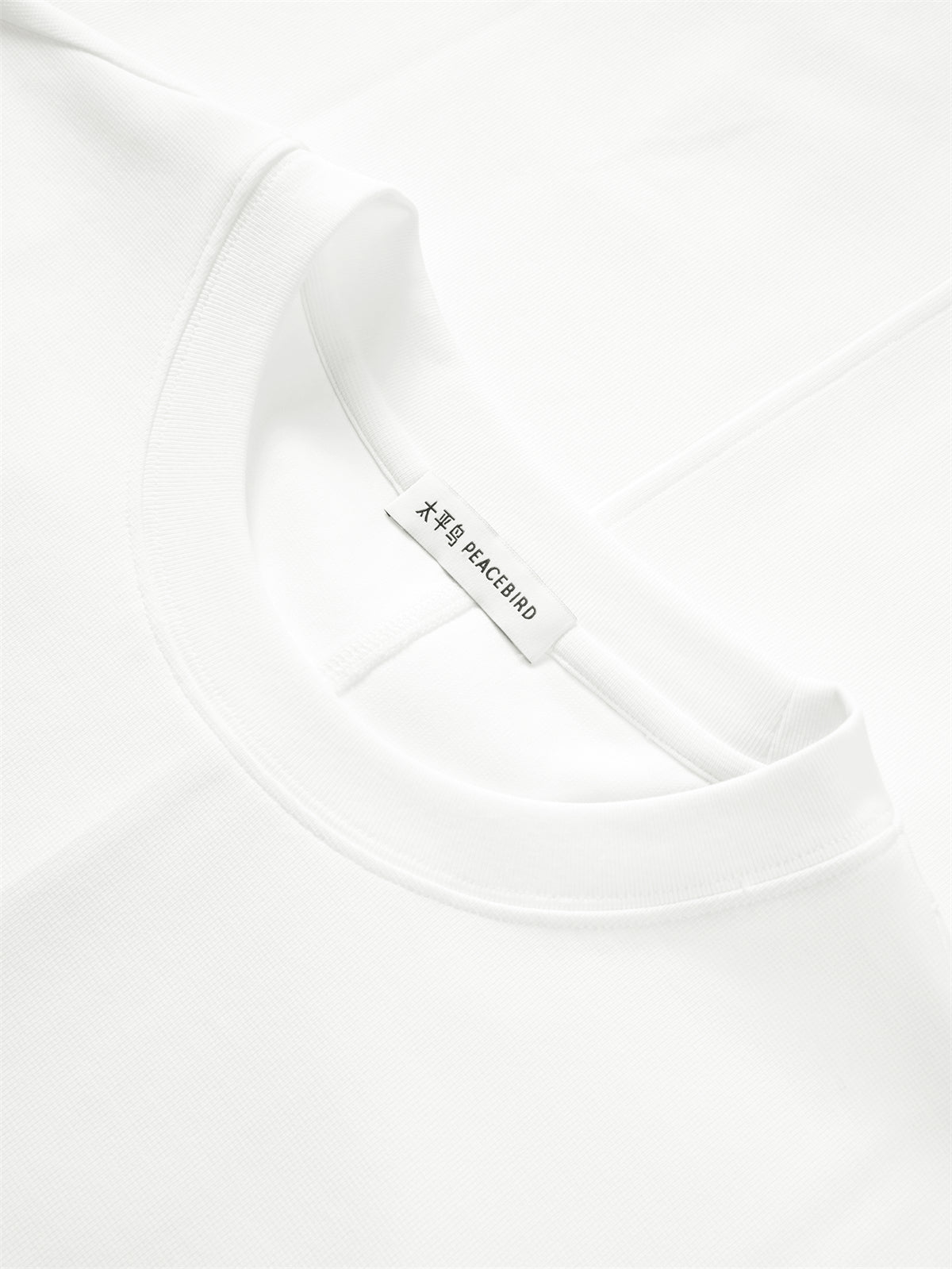 Men's Heavyweight T-Shirt with Panel Lines