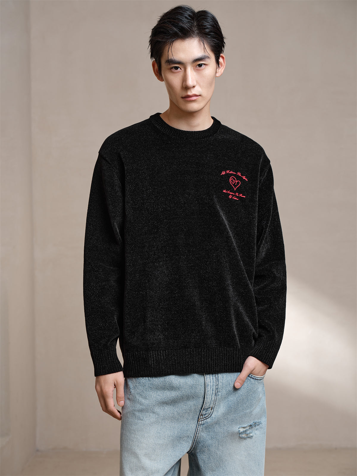 Men's Embroidered Crew Neck Pullover