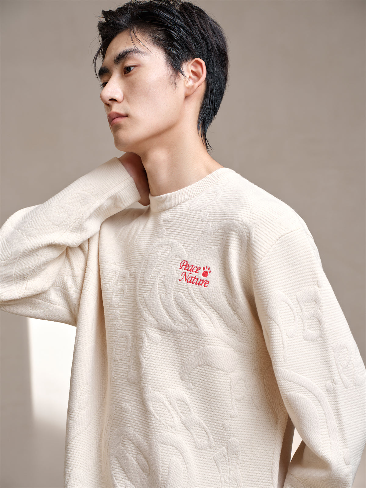 Men's Beige Pattern Jacquard Pullover