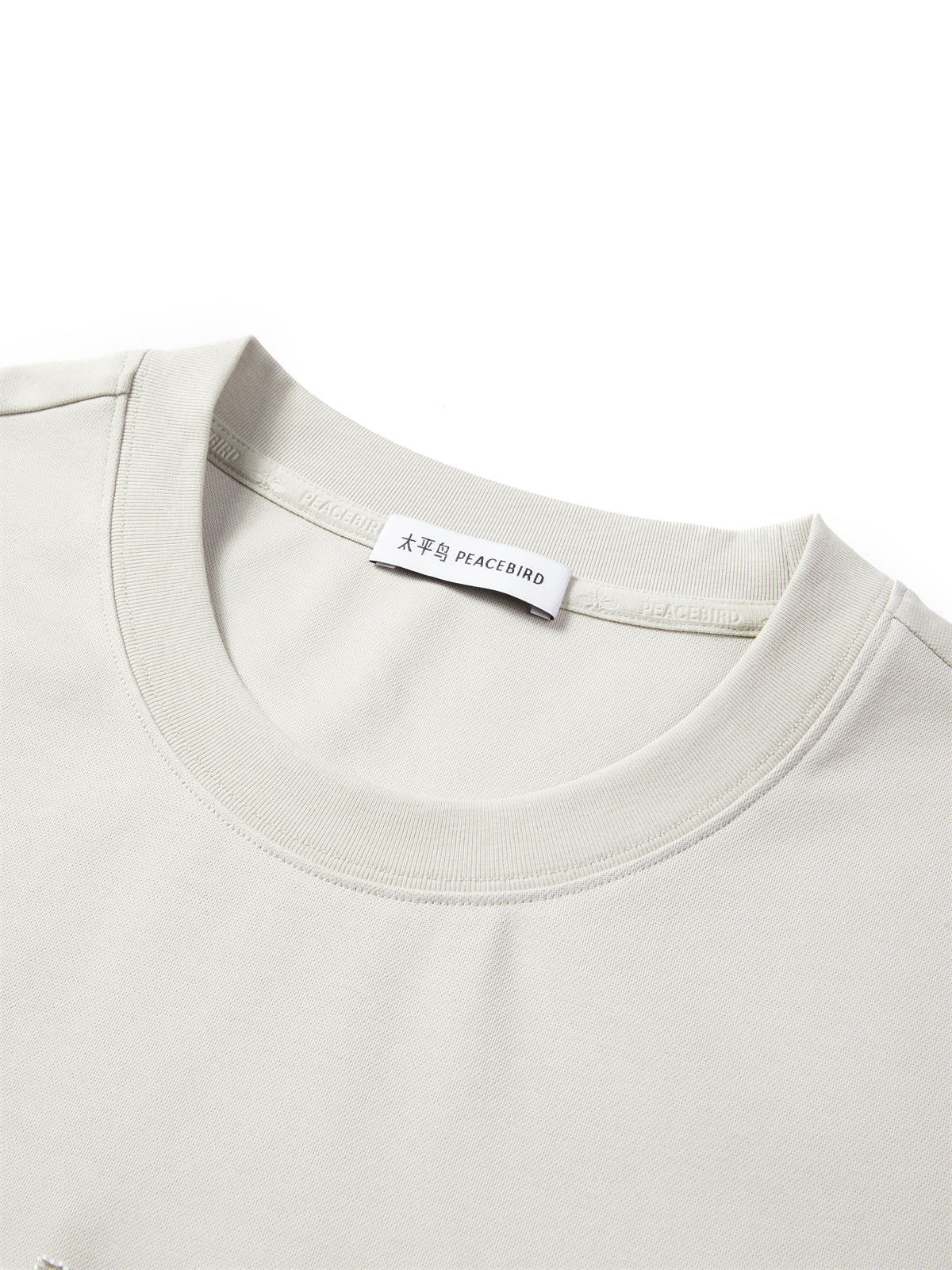 Men's Heavyweight T-Shirt with Graphic Embroidery