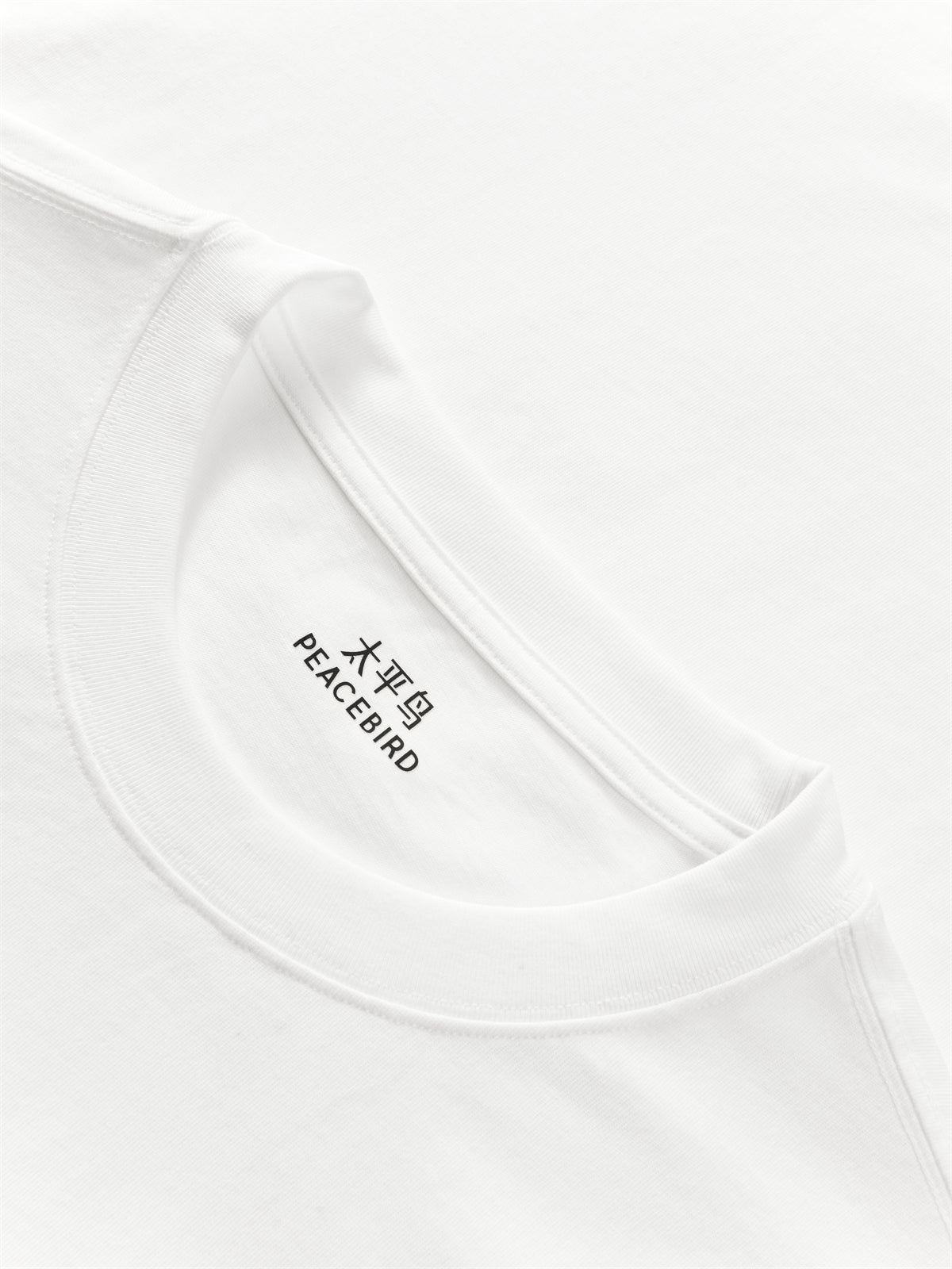 Men's Heavyweight Embroidered T-Shirt